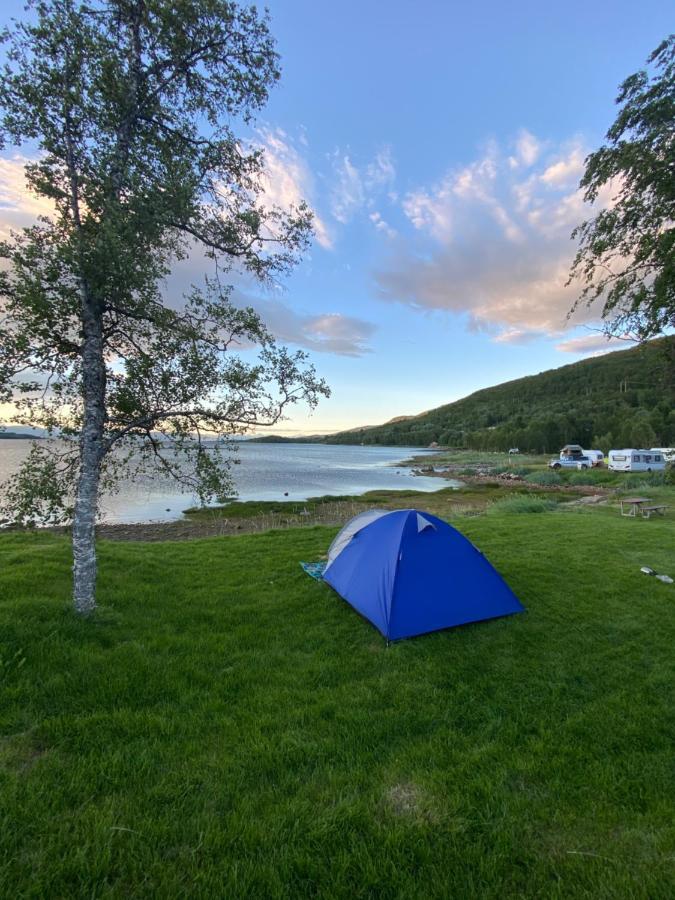 Ballangen Camping Narvik Ngoại thất bức ảnh