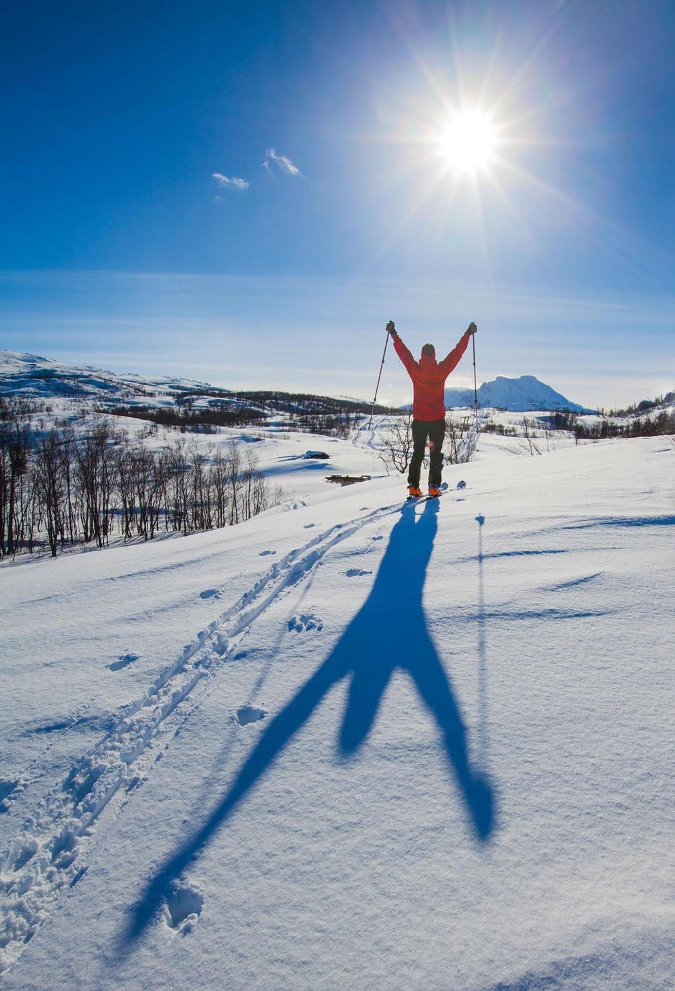 Ballangen Camping Narvik Ngoại thất bức ảnh