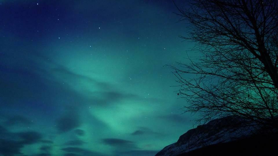 Ballangen Camping Narvik Ngoại thất bức ảnh