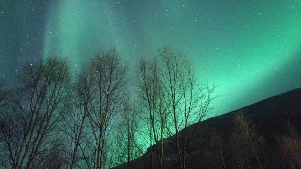 Ballangen Camping Narvik Ngoại thất bức ảnh